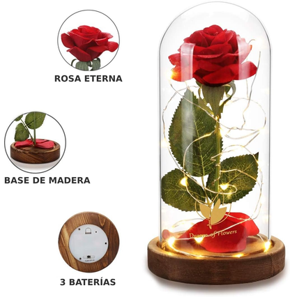 Infinite Rosa Eterna – Un símbolo de amor que nunca se marchita.